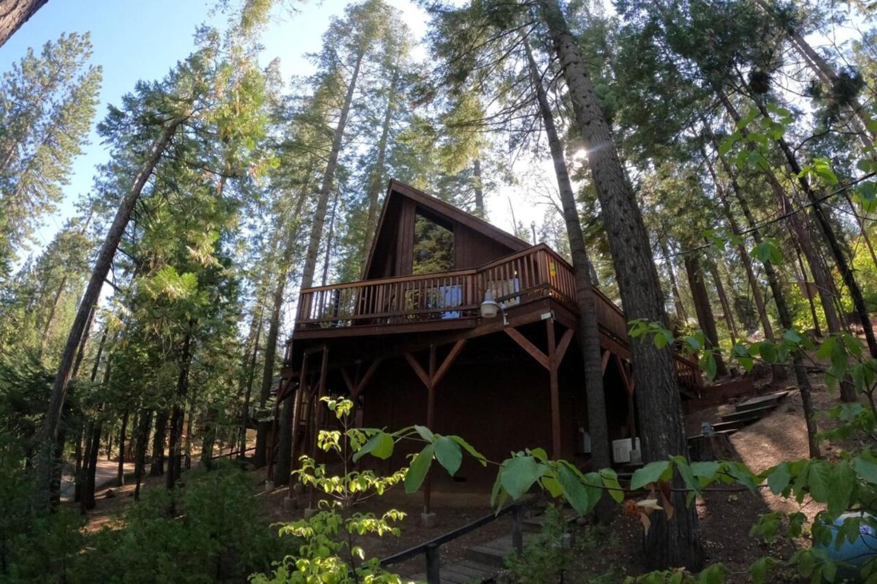 Beautiful Cabingated Parkpinecrest & Dodge Ridge Villa Long Barn Dış mekan fotoğraf